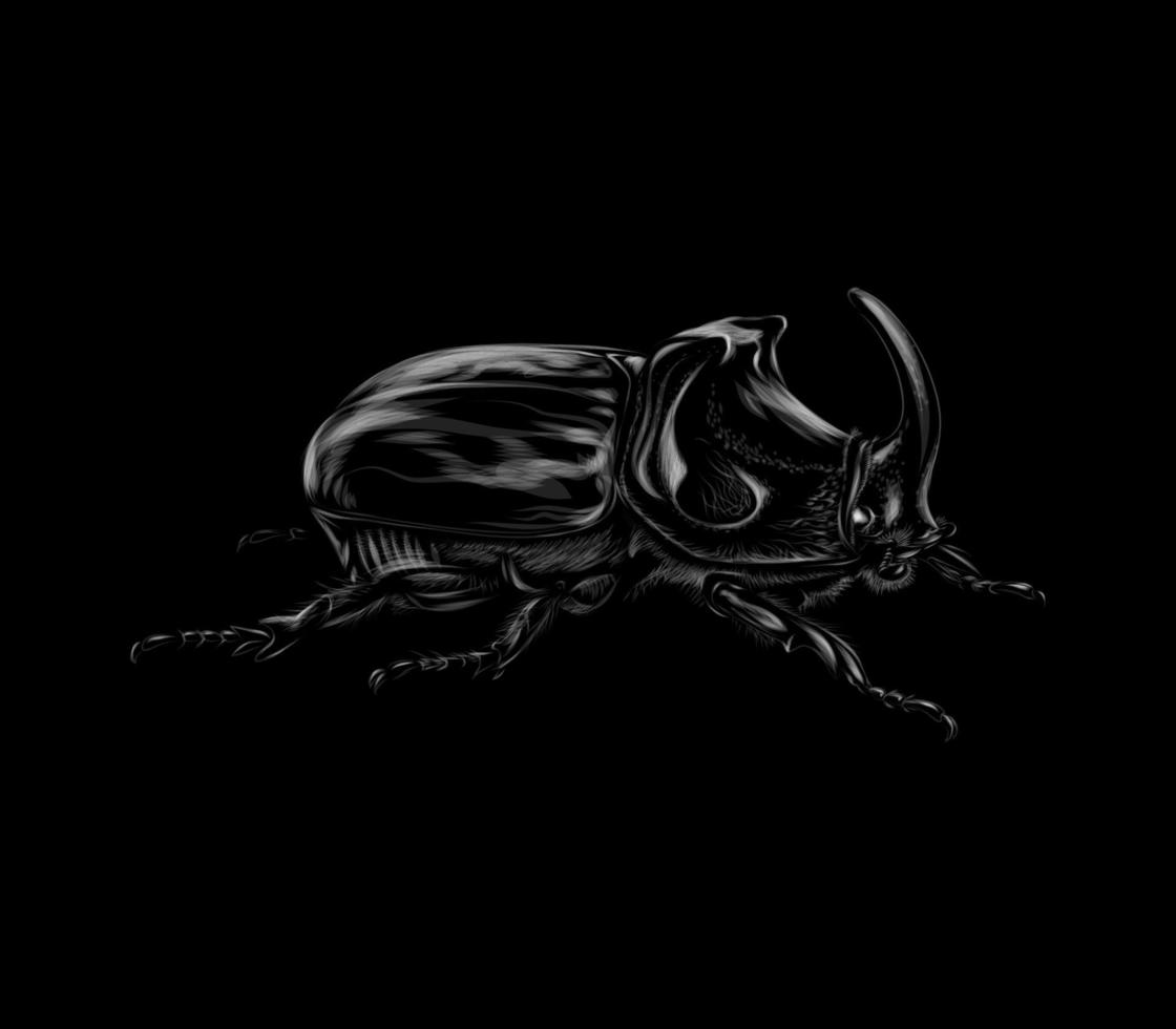 Portrait d'un scarabée rhinocéros sur fond noir vector illustration