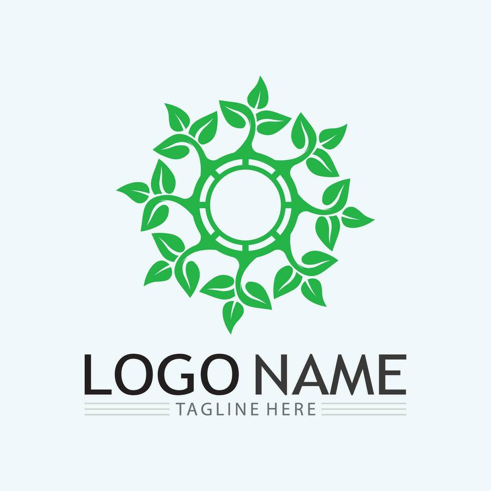 logos de l'écologie des feuilles d'arbre vert vecteur