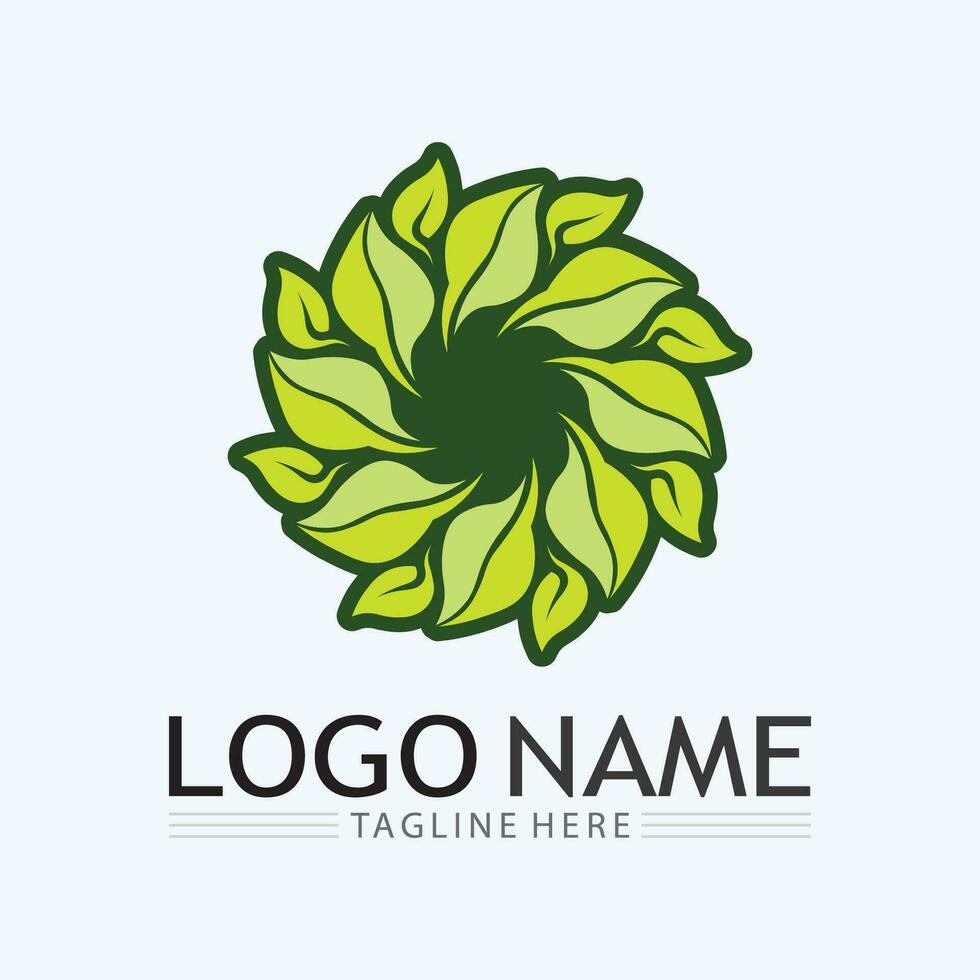 logo vectoriel eco energy avec symbole de feuille. couleur verte avec graphique flash ou tonnerre. nature et électricité renouvelable. ce logo convient à la technologie, au recyclage, au bio.