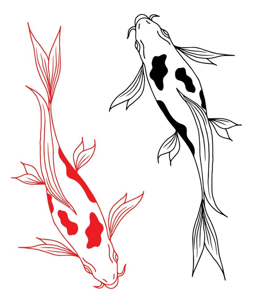 conception koi or poisson illustration silhouette contour vecteur