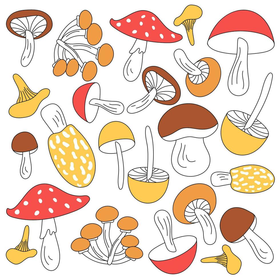 Facile des illustrations de champignons avec incomplet peinture. une collection de style doodle sauvage champignons est isolé sur une blanc Contexte. vecteur