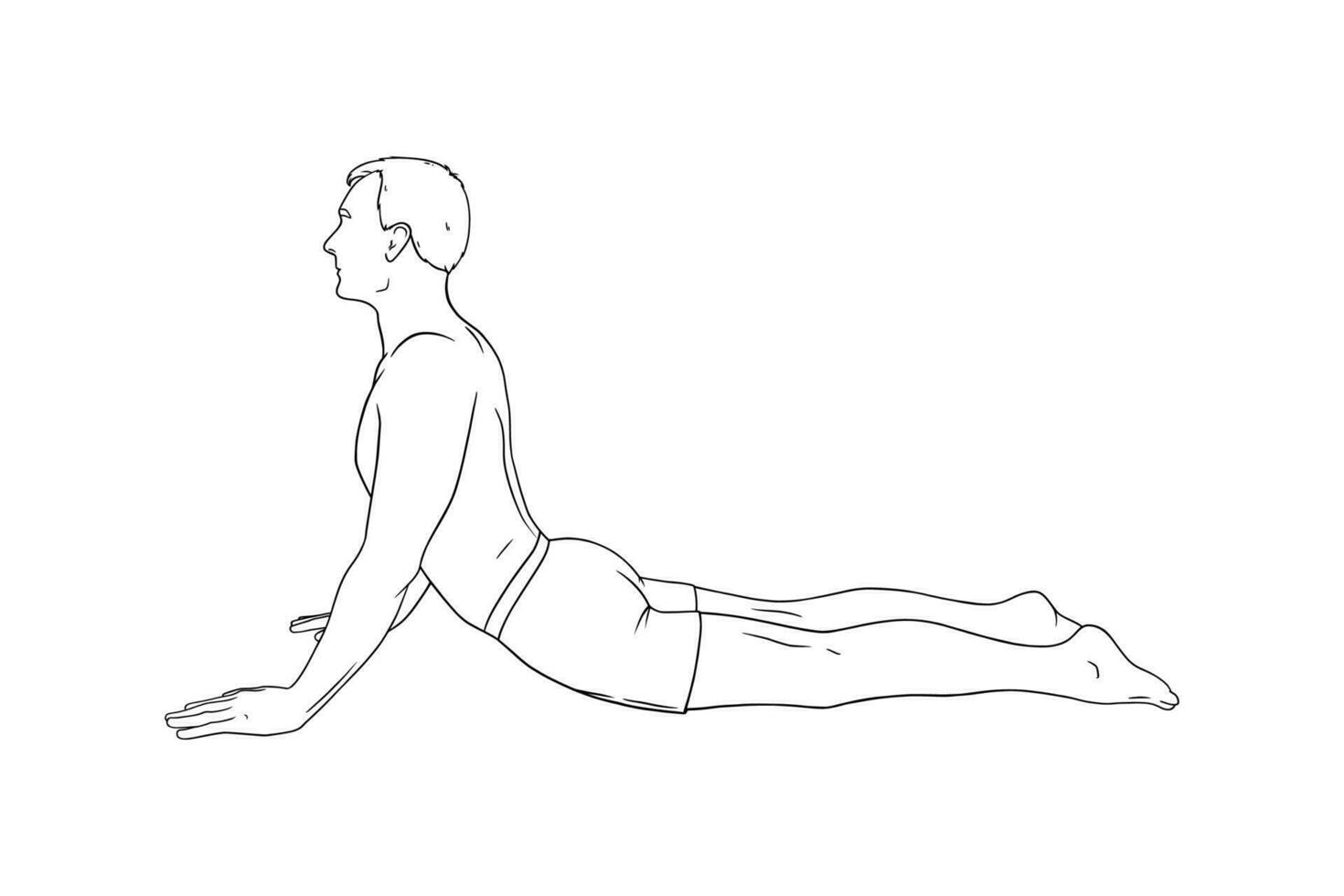 yoga cobra pose ou bhujangasana. homme pratiquant renforcement yoga pose. gravé vecteur illustration