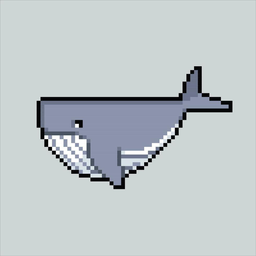 pixel art illustration baleine. pixélisé baleine. mer baleine mammifères icône pixélisé pour le pixel art Jeu et icône pour site Internet et vidéo jeu. vieux école rétro. vecteur