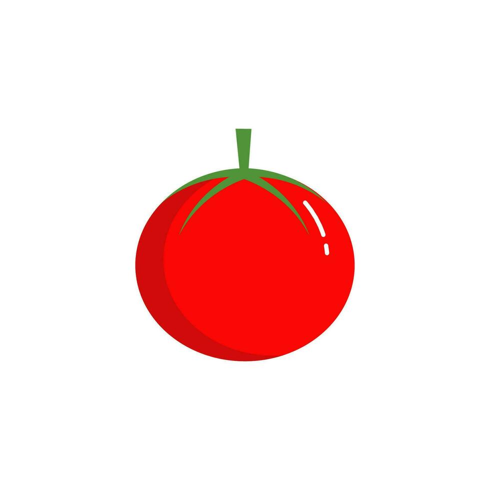 tomate conception avec plat conception style vecteur