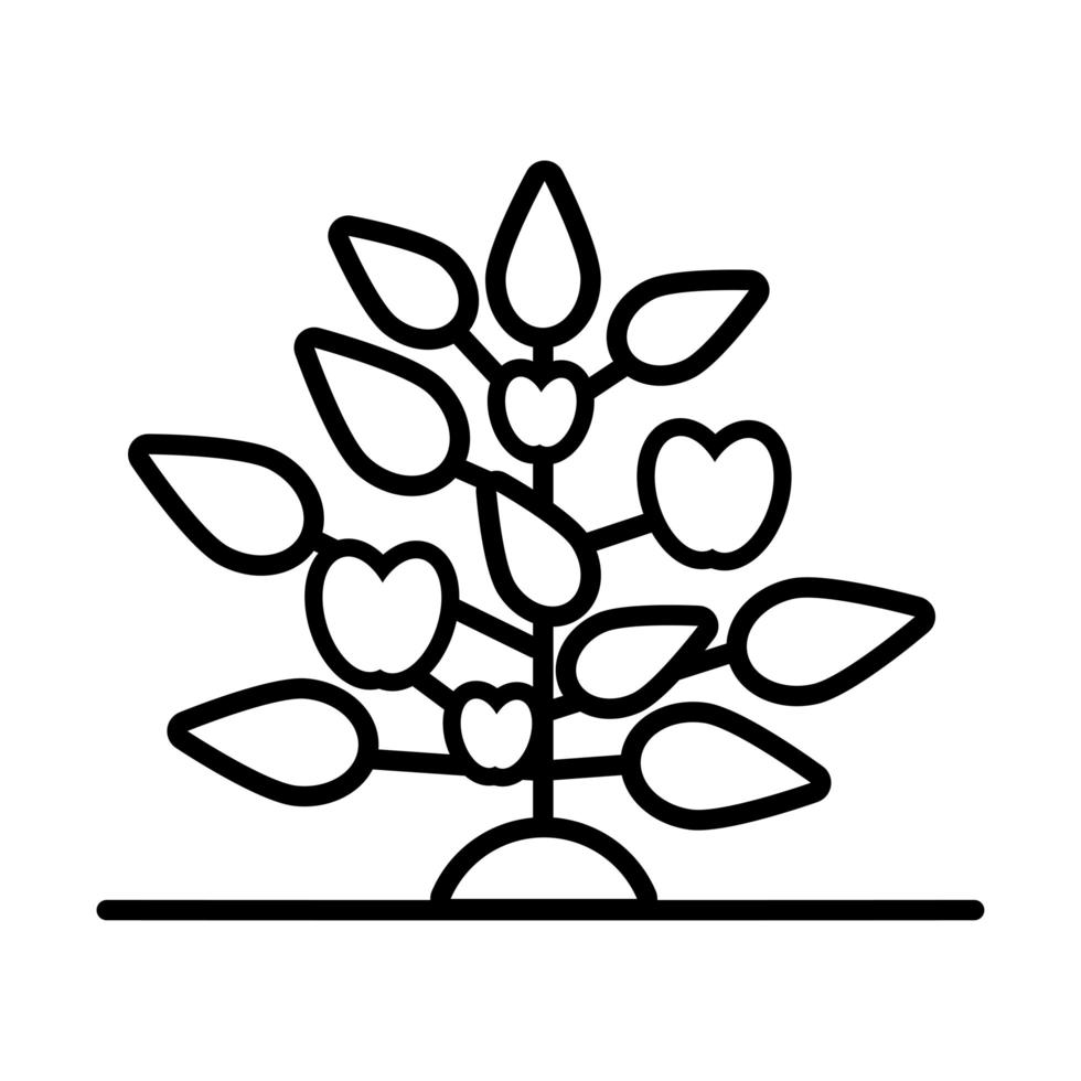 plante de croissance avec icône de style de ligne de pommes vecteur