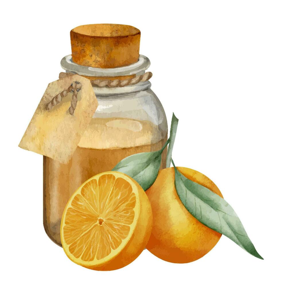 Orange essentiel pétrole avec tranches de fruit. main tiré aquarelle illustration de ancien transparent bouteille pour arôme thérapie sur blanc isolé Contexte. rétro flacon pour cosmétique agrumes saveur vecteur