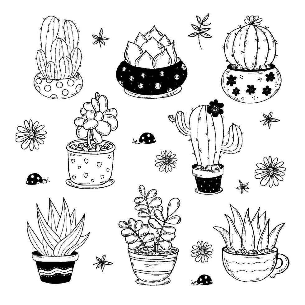collection tropical plante d'appartement cactus griffonnage. vecteur illustration. isolé décoratif main dessins intérieur les plantes pots de fleurs pour conception et décor.