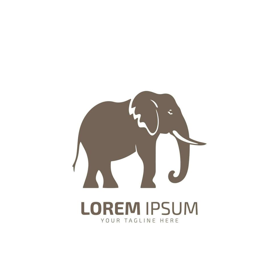 l'éléphant logo icône l'éléphant silhouette l'éléphant isolé vecteur illustration conception modèle o n blanc Contexte.