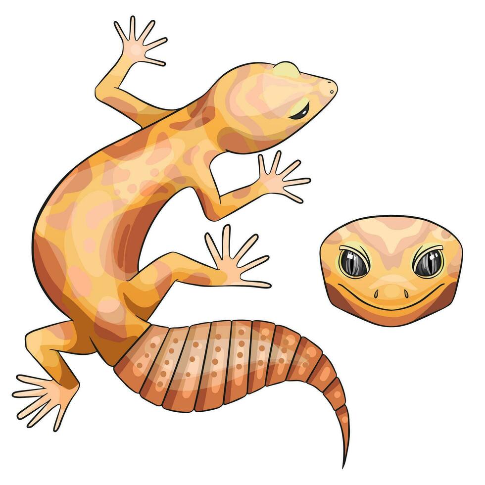 vecteur illustration de un eublépharis. léopard gecko trempeur albinos