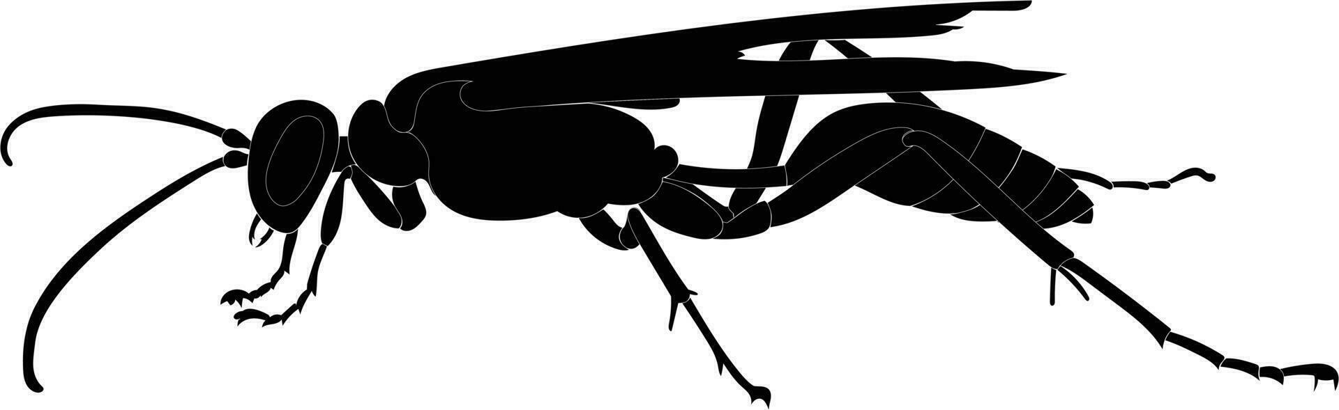 guêpe silhouette avec longue jambes et ailes vecteur