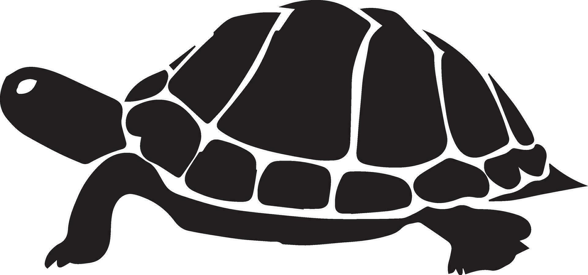 tortue vecteur silhouette illustration