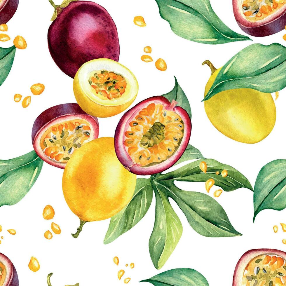 divers passion fruits, feuilles, éclaboussure jus aquarelle sans couture modèle isolé sur blanche. tropical ensemble, tranché maracuja main dessiné. conception pour emballage, emballer, textile, arrière-plan, vaisselle vecteur