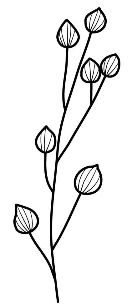 ligne art feuilles botanique illustration vecteur