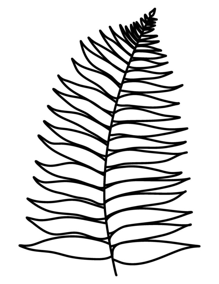 ligne art feuilles botanique illustration vecteur