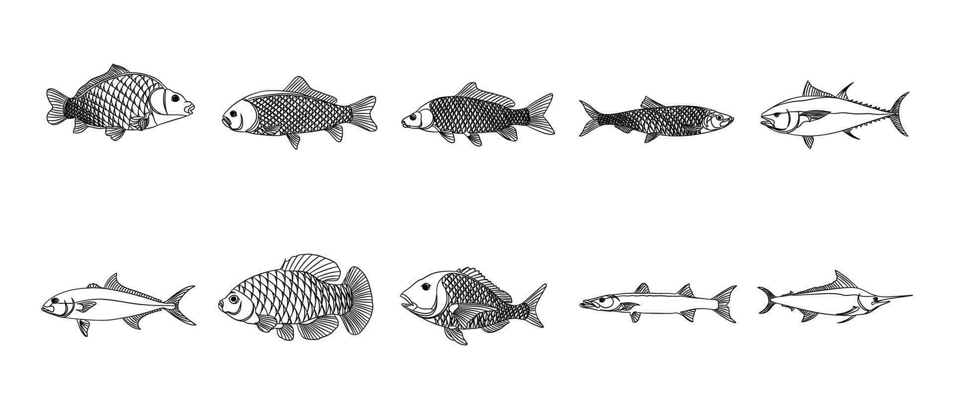 poisson contour illustration vecteur ensemble