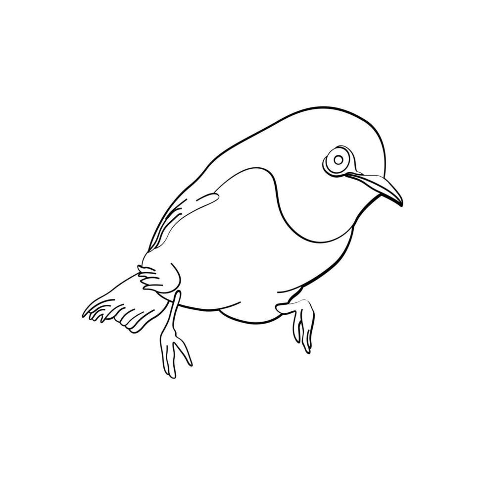 oiseau contour vecteur pour coloration livre et tatouage conception. oiseau ligne art. oiseau vecteur illustration. oiseau contour. oiseau ligne art. main tiré oiseau.