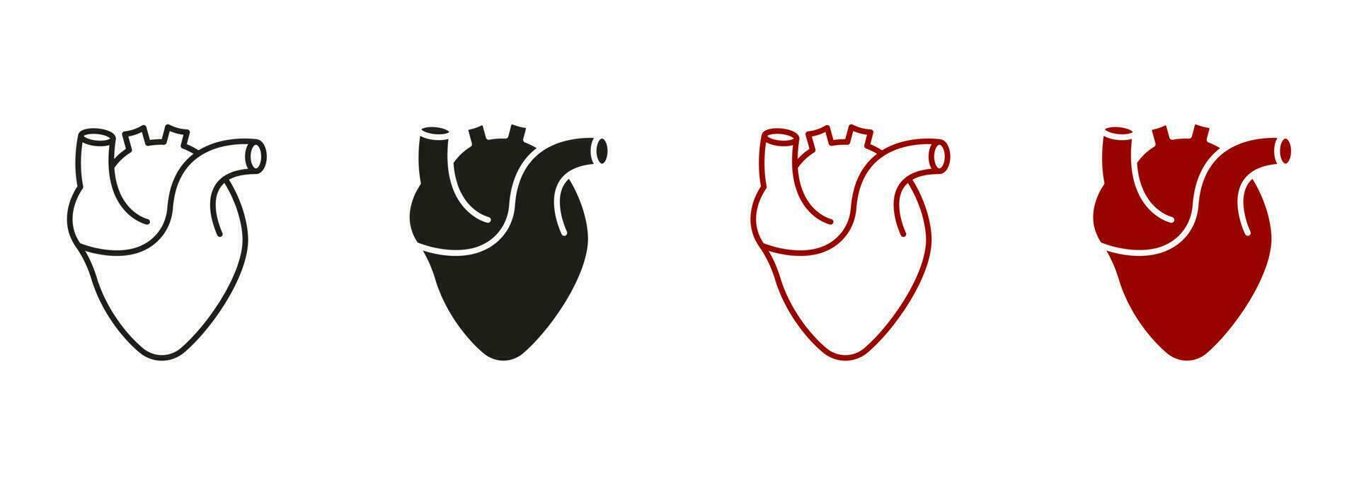 en bonne santé cardiovasculaire organe symbole collection sur blanc Contexte. Humain cœur, cardiaque muscle ligne et silhouette Couleur icône ensemble. médical cardiologie pictogramme. isolé vecteur illustration.