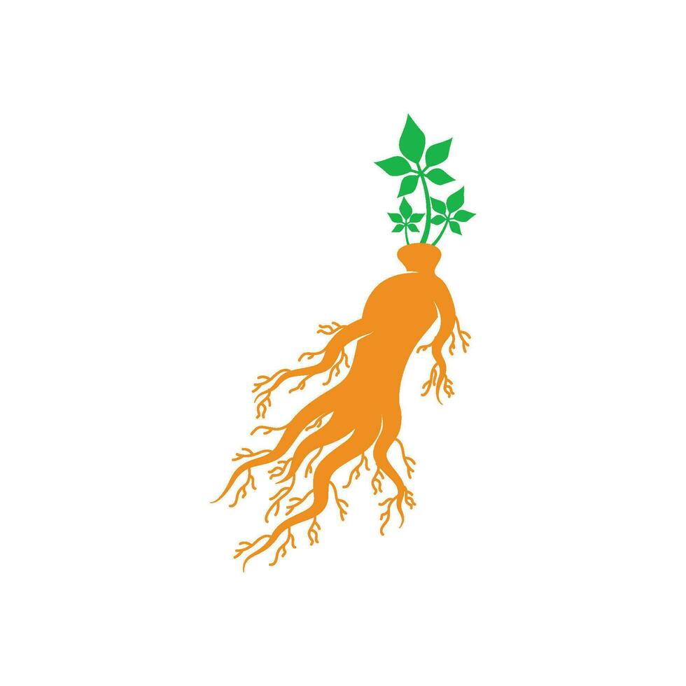 vecteur de logo de ginseng