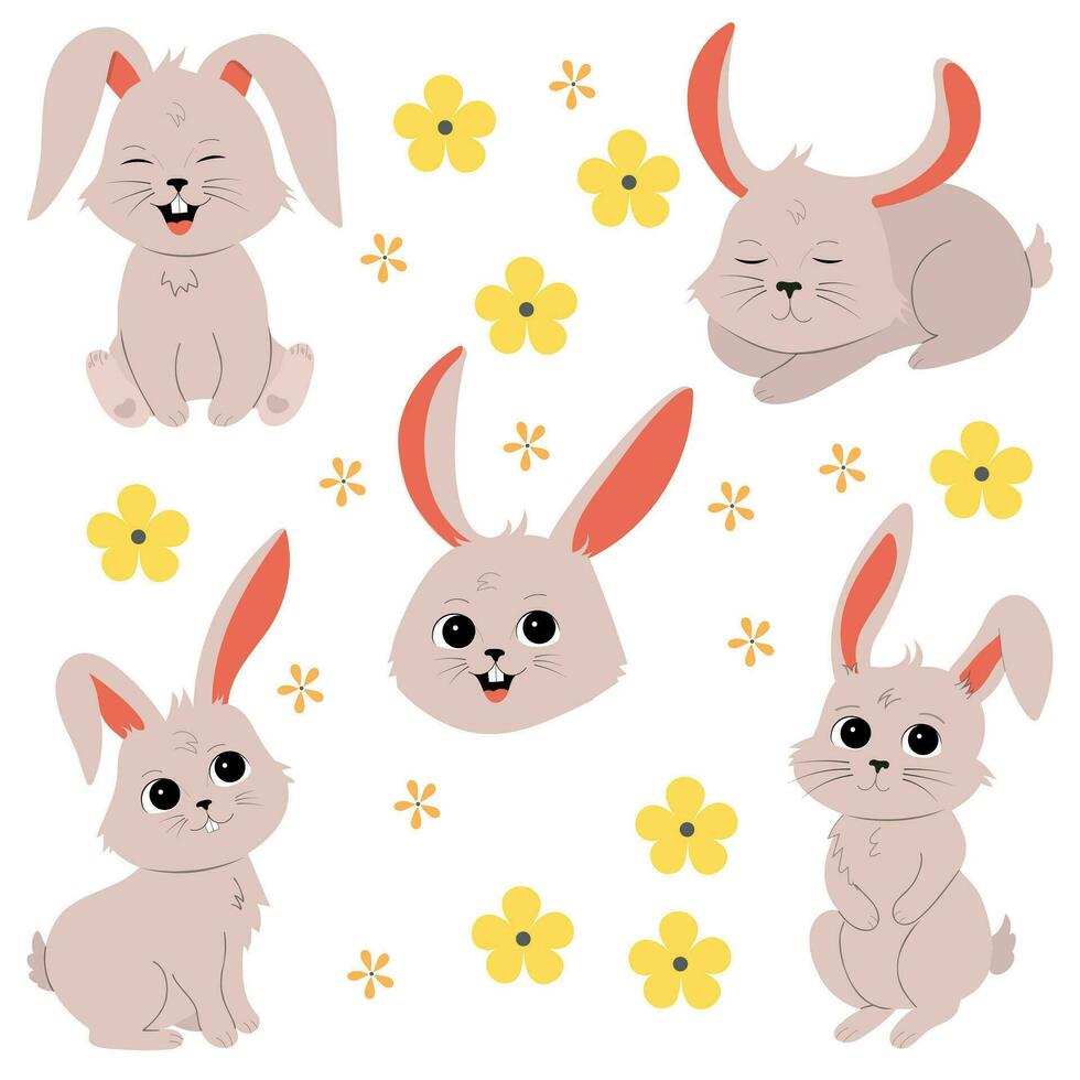 mignonne peu lapin illustration ensemble vecteur