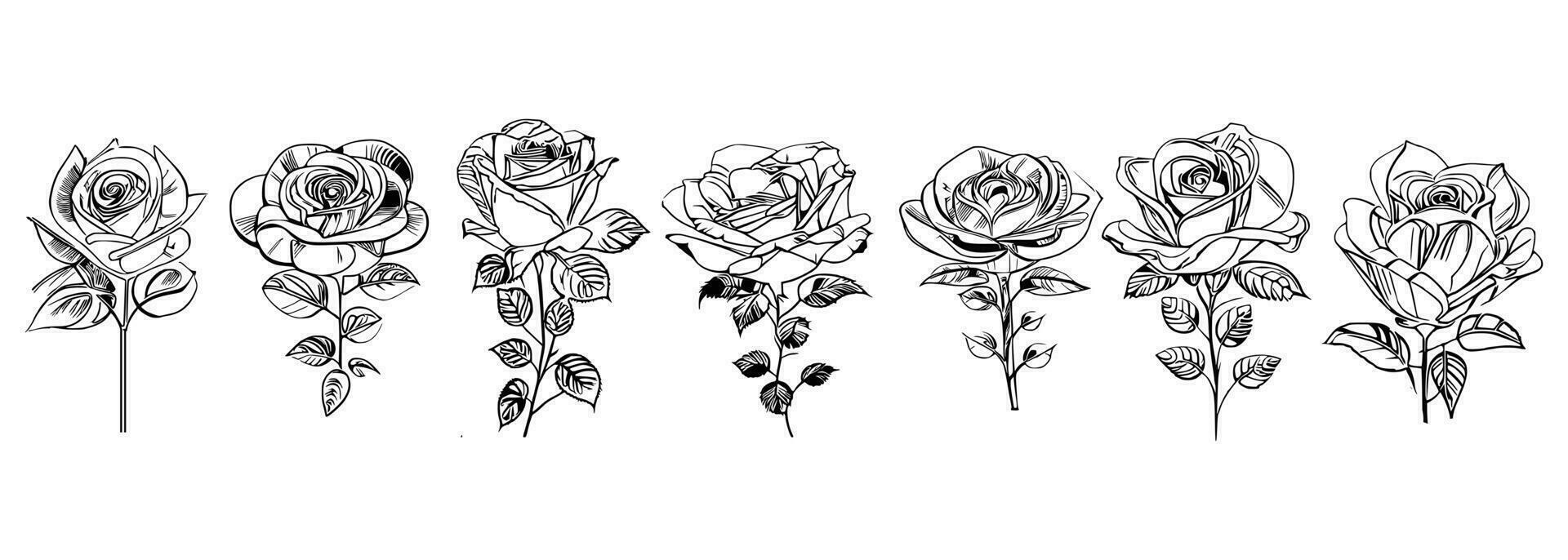 des roses ensemble ligne art vecteur
