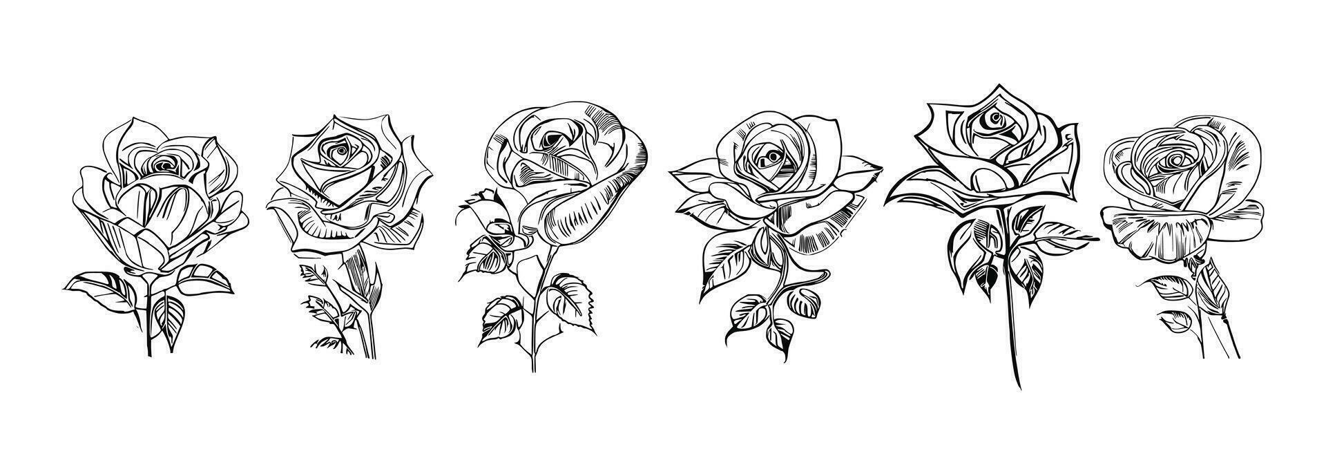 des roses ensemble ligne art vecteur