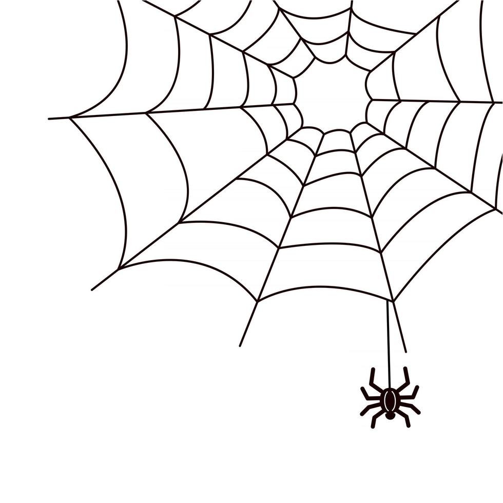 Araignée et toile d'araignée dans le coin élément décoratif pour la conception illustration vectorielle simple noir et blanc insecte dangereux arthropode halloween spider web vecteur