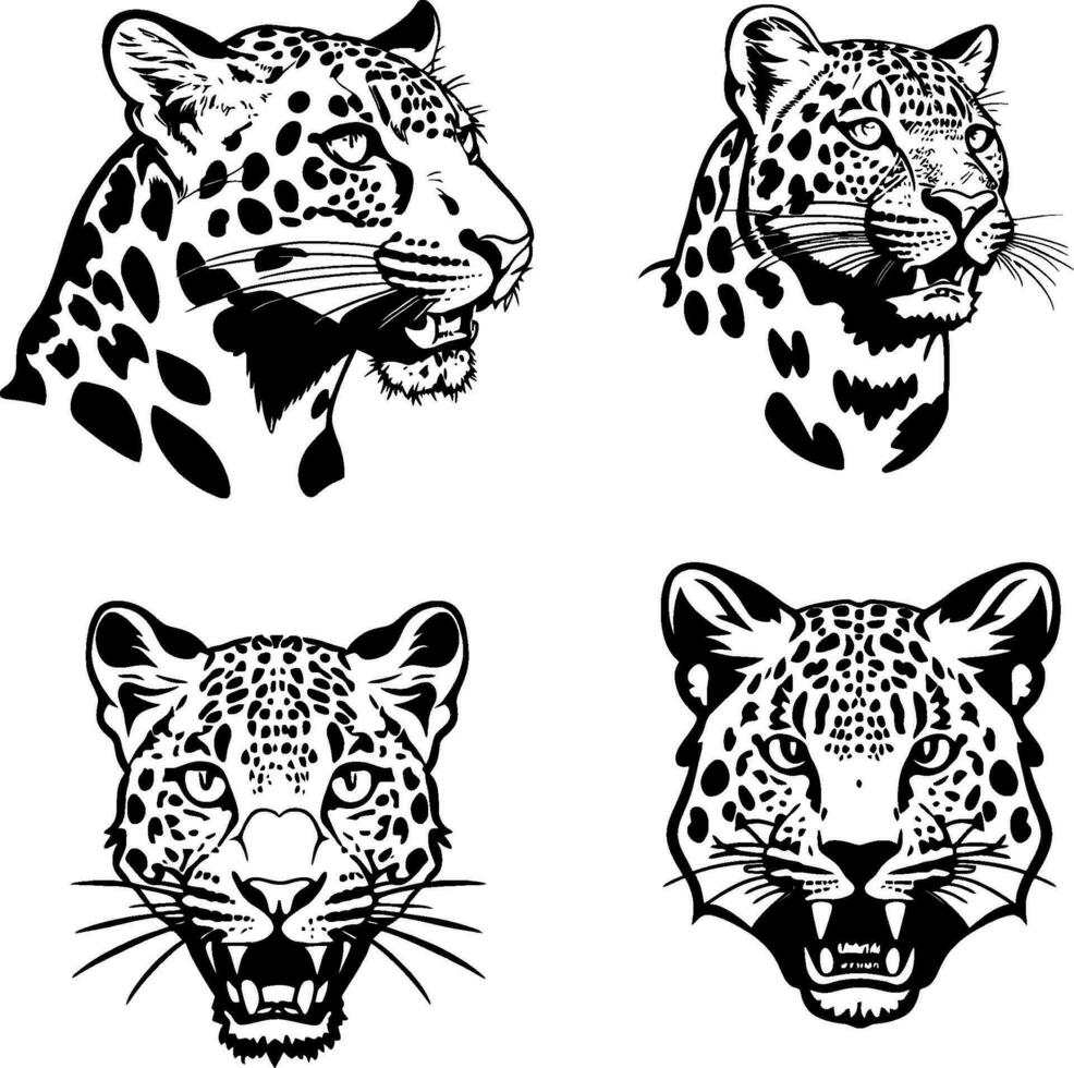 léopard tête logo vecteur pochoir ensemble