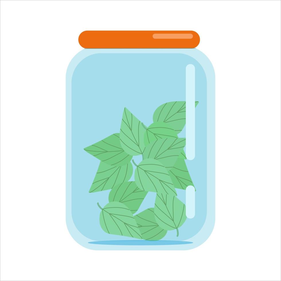 feuilles de menthe dans un bocal en verre avec couvercle fermé, ébauches d'herbes séchées, illustration vectorielle dans un style plat, isoler, dessin animé vecteur