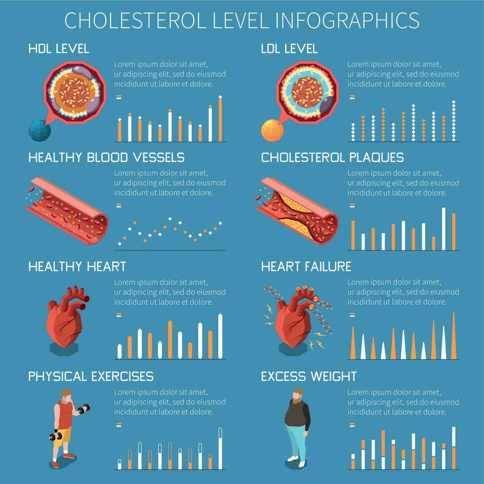 cholestérol isométrique infographie vecteur