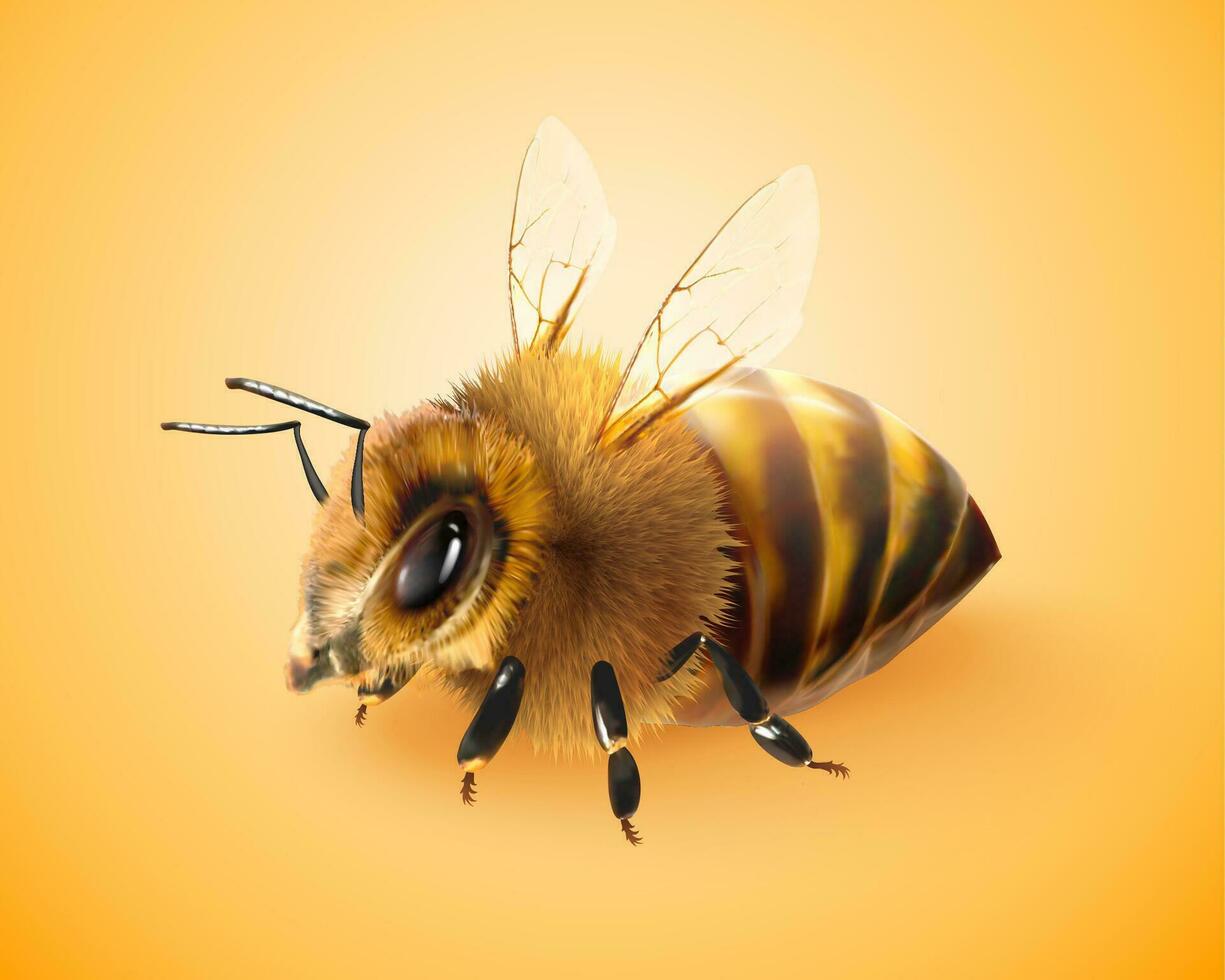 duveteux mon chéri abeille dans 3d illustration sur Jaune Contexte vecteur