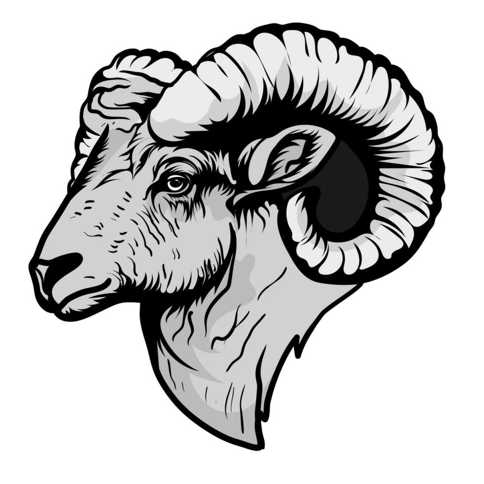chèvre tête mascotte logo pour esport. chèvre T-shirt conception. mouton logo. mouton autocollant vecteur