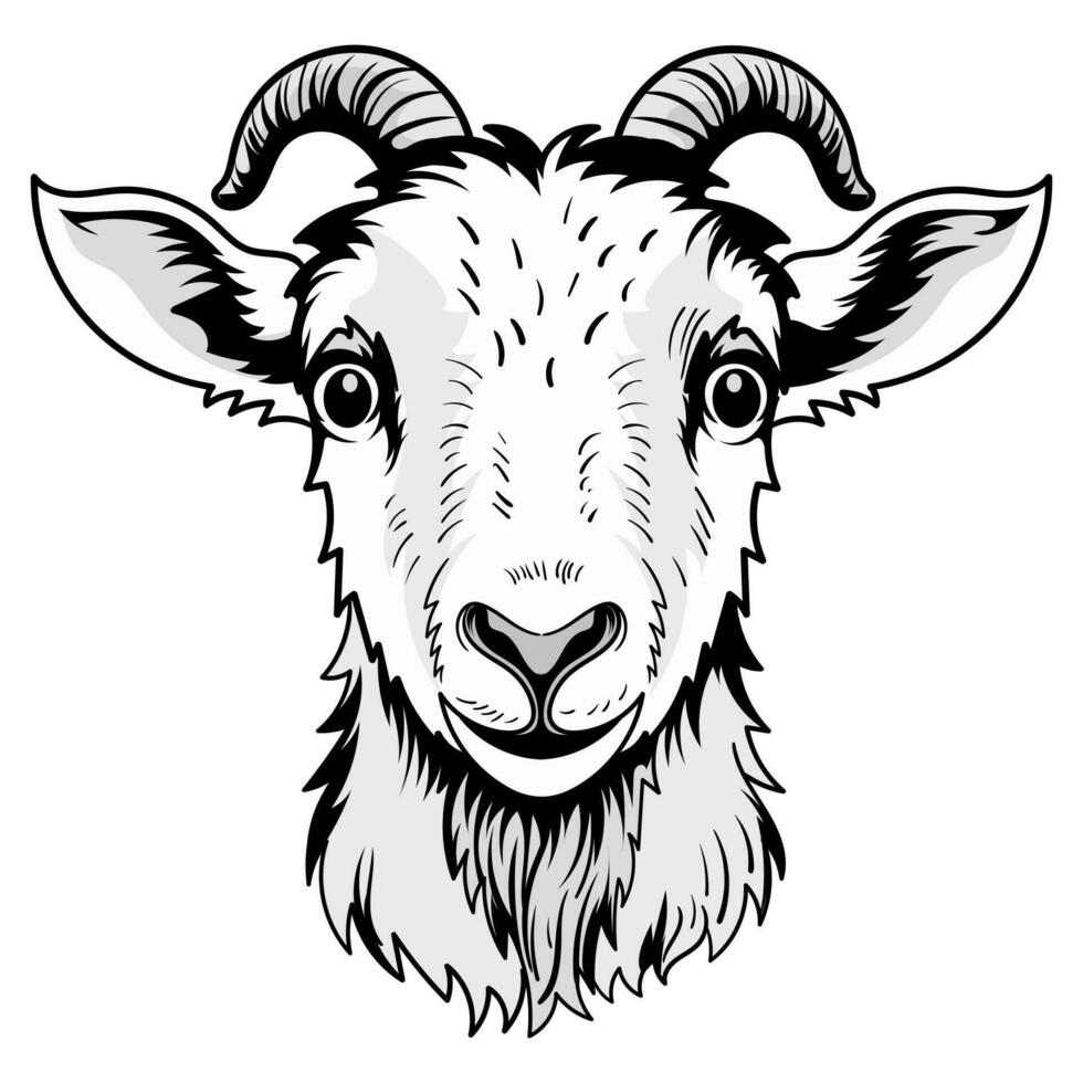 mignonne tête anatomie chèvre dessin animé coloration page isolé pour des gamins vecteur
