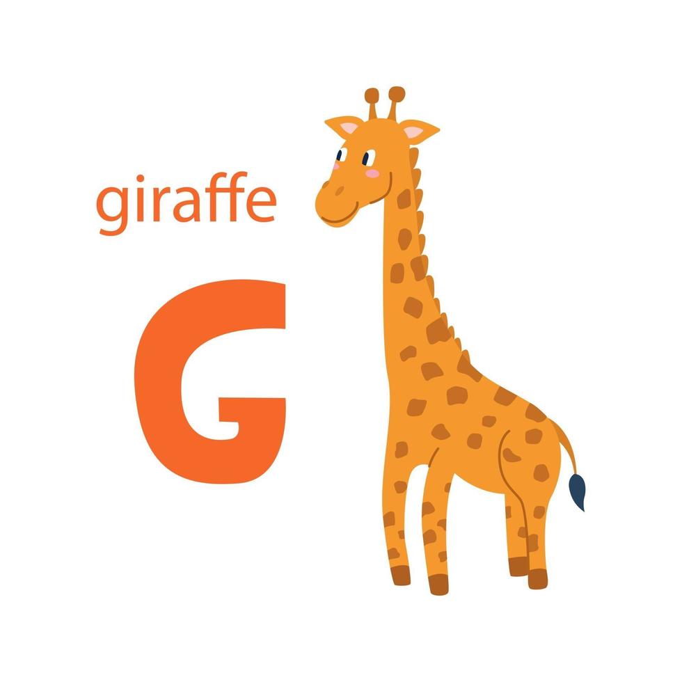 jolie carte de girafe. alphabet avec des animaux. design coloré pour enseigner l'alphabet aux enfants, apprendre l'anglais. illustration vectorielle dans un style cartoon plat sur fond blanc vecteur