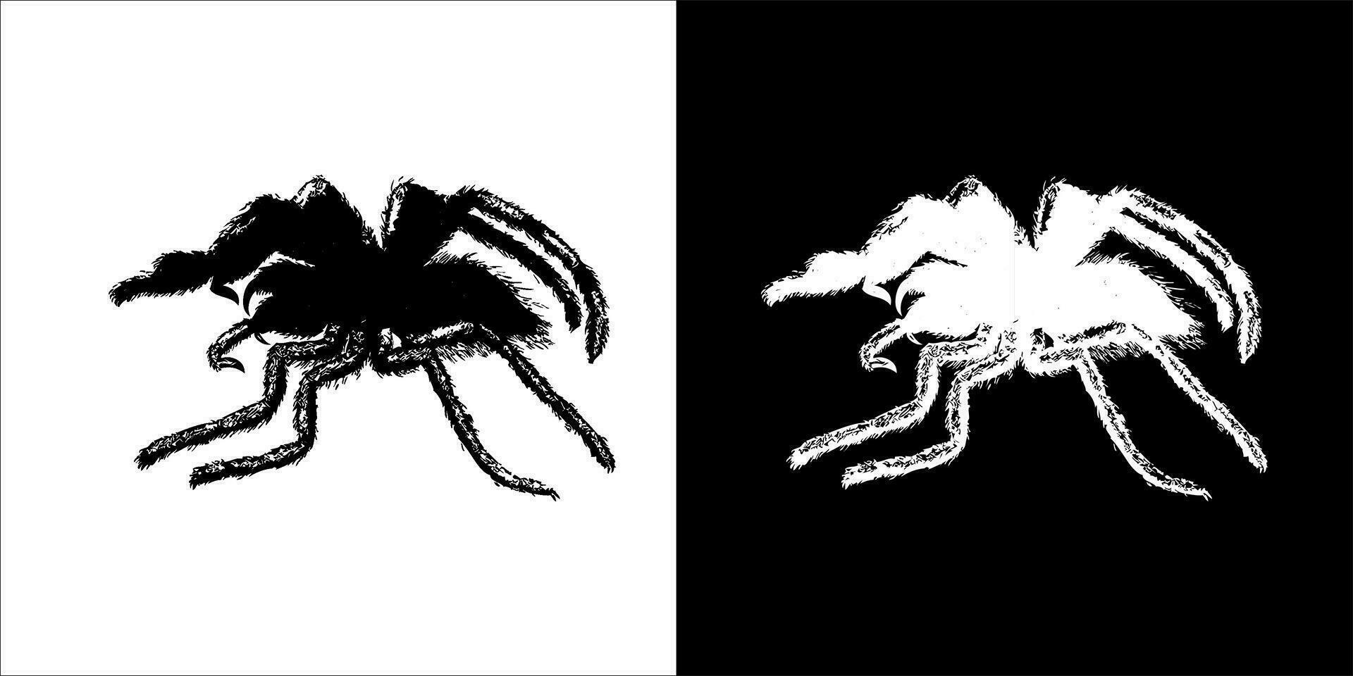 illustration, vecteur graphique de araignée icône, dans noir et blanc, avec transparent Contexte