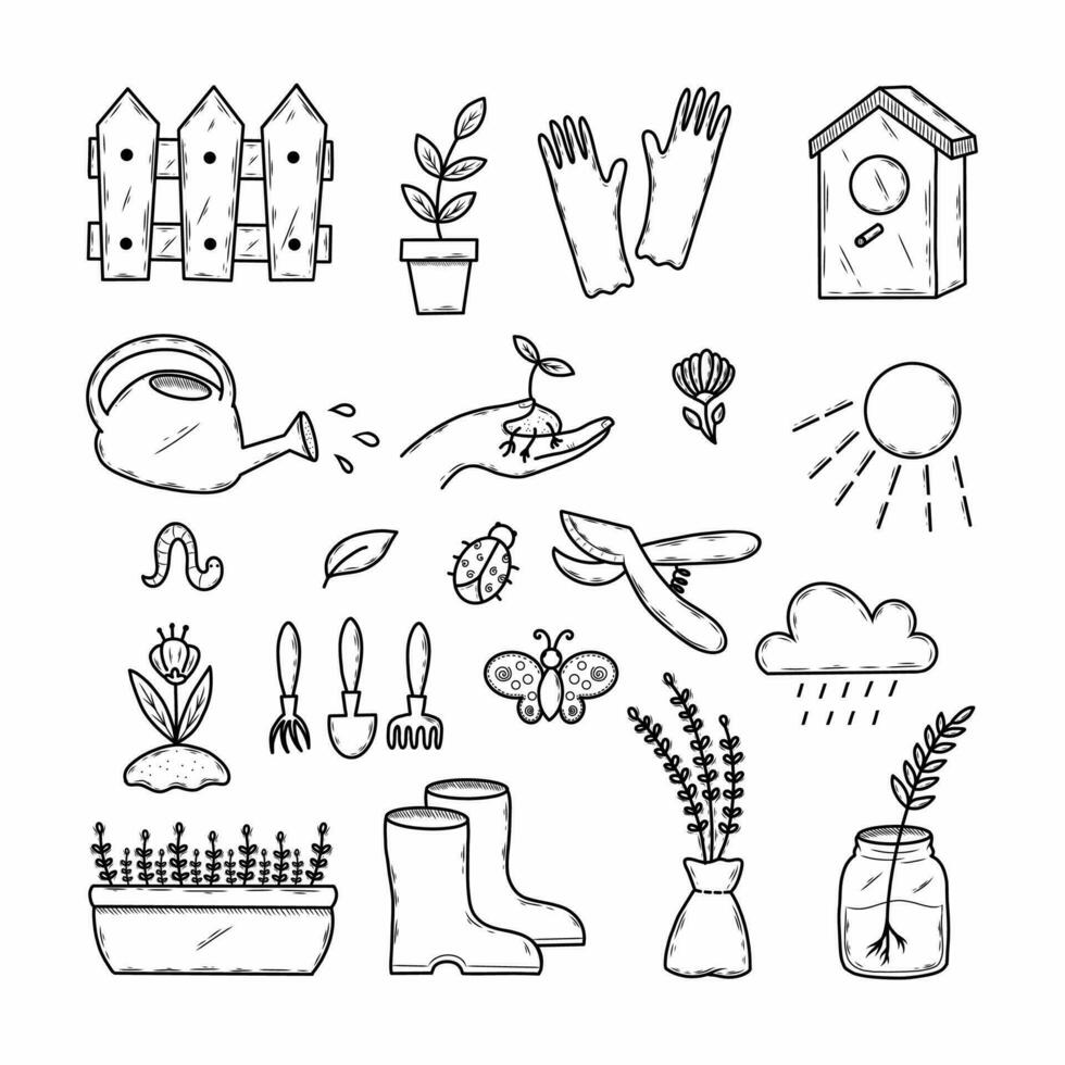 jardinage outils. vecteur griffonnage illustration sur écologie et jardin plantations.