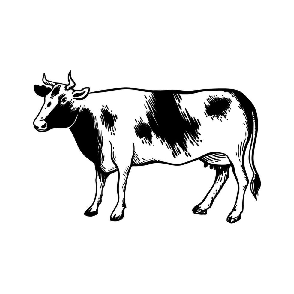 le vache est pâturage dans le prairie. Lait et laitier des produits. linéaire vache icône. vecteur