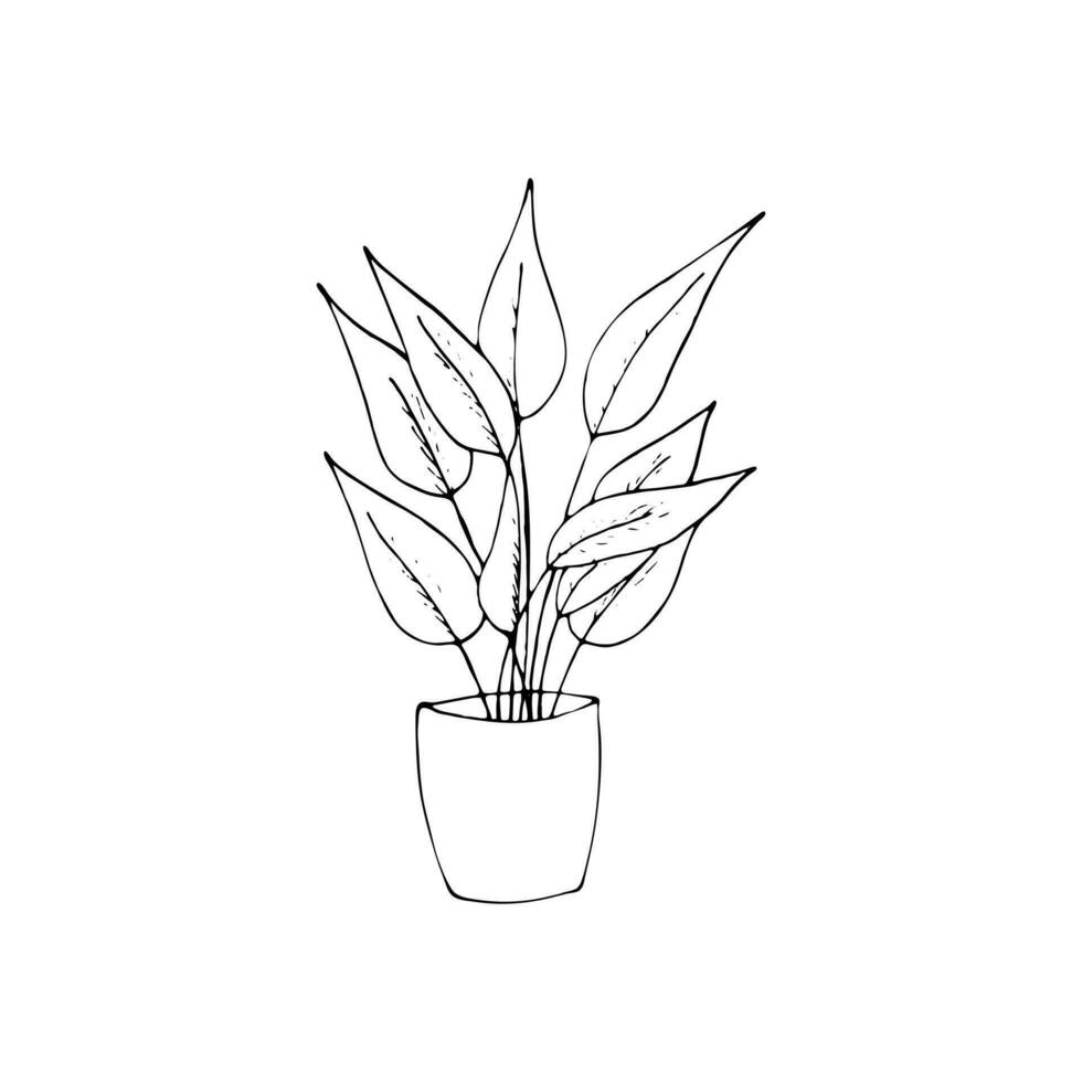plante dans une pot, main noyé vecteur