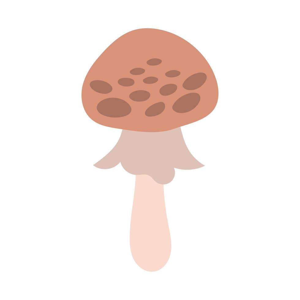 champignon plante amanite porphyrie style de dessin à la main vecteur