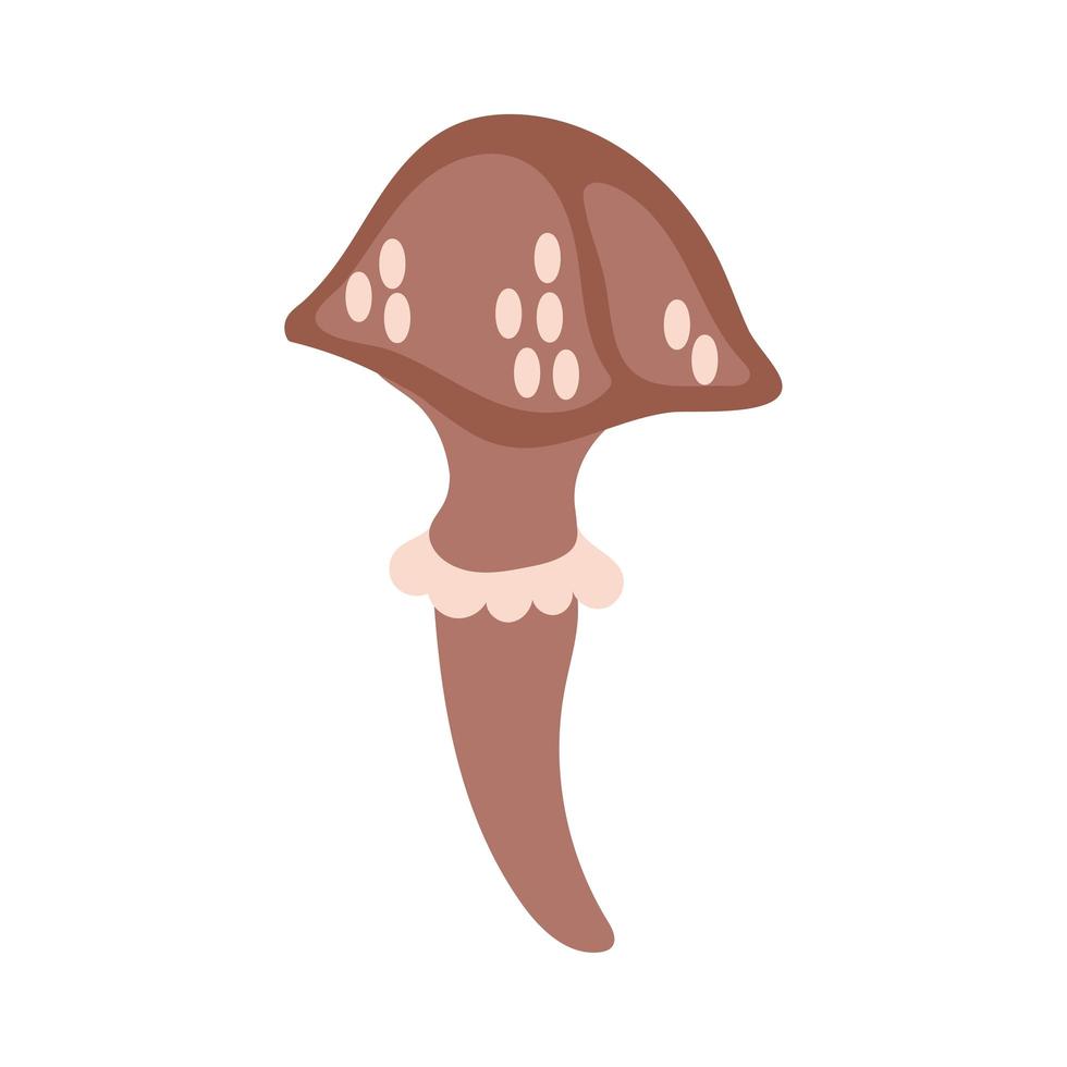 champignon plante cortinarius orellanus style de dessin à la main vecteur