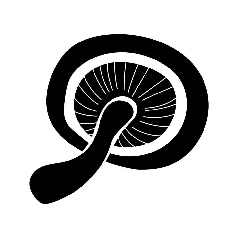 icône de style de silhouette de plante de champignon praxillus involutus vecteur
