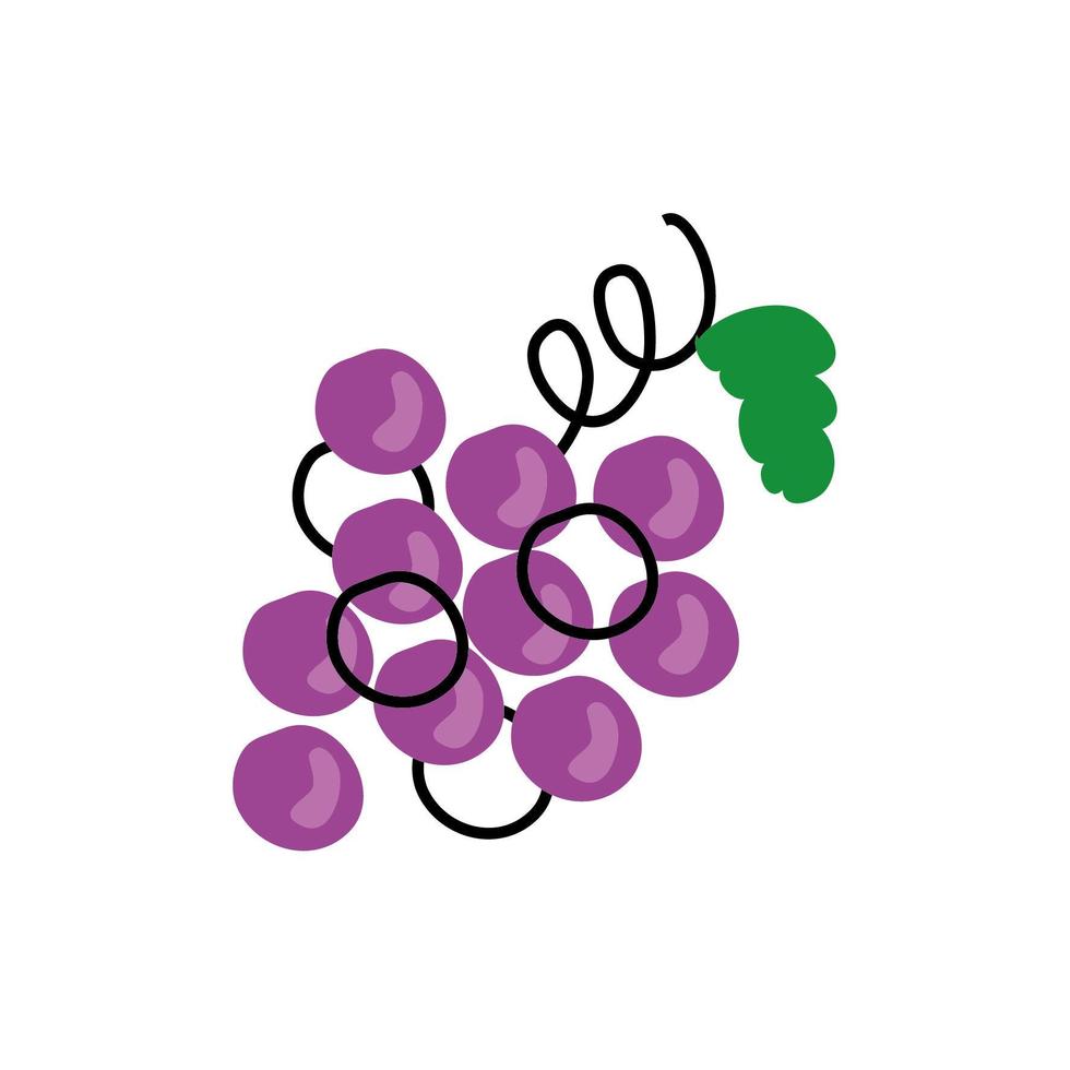 icône isolée de fruits de raisins frais vecteur