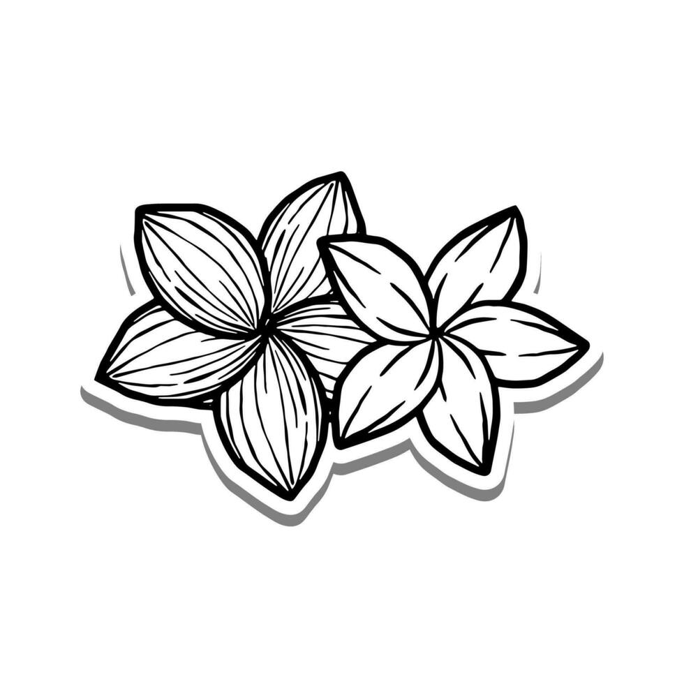noir ligne deux fleurs Floraison sur blanc silhouette et gris ombre. main tiré dessin animé style. vecteur illustration pour décorer, coloration et tout conception.