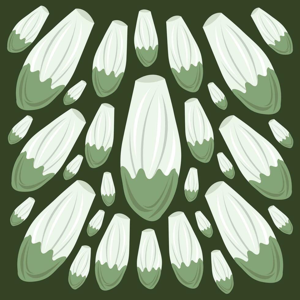 endive vecteur illustration pour graphique conception et décoratif élément