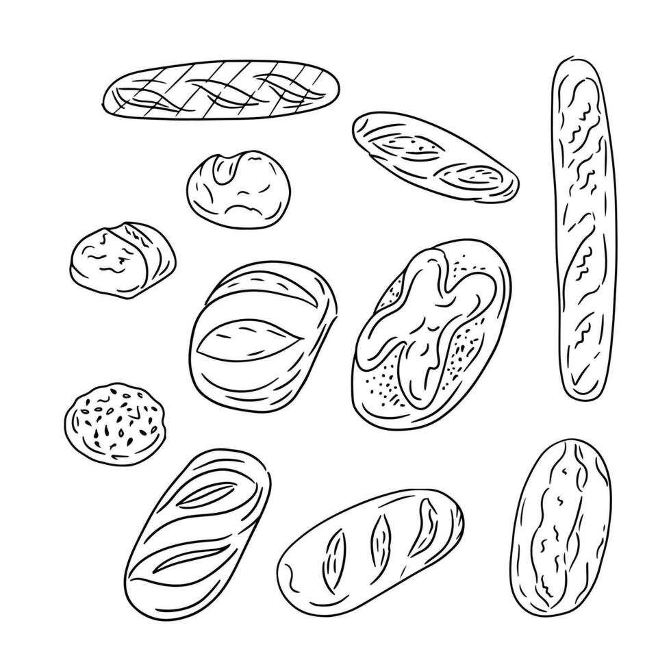 main tiré Célibataire ligne pains de pain et petits pains. vecteur isolé baguettes, petits pains avec des graines et artisanat pain. unique esquisser illustration. parfait pour coloration pages, tatouage, arrière-plan, emballage papier