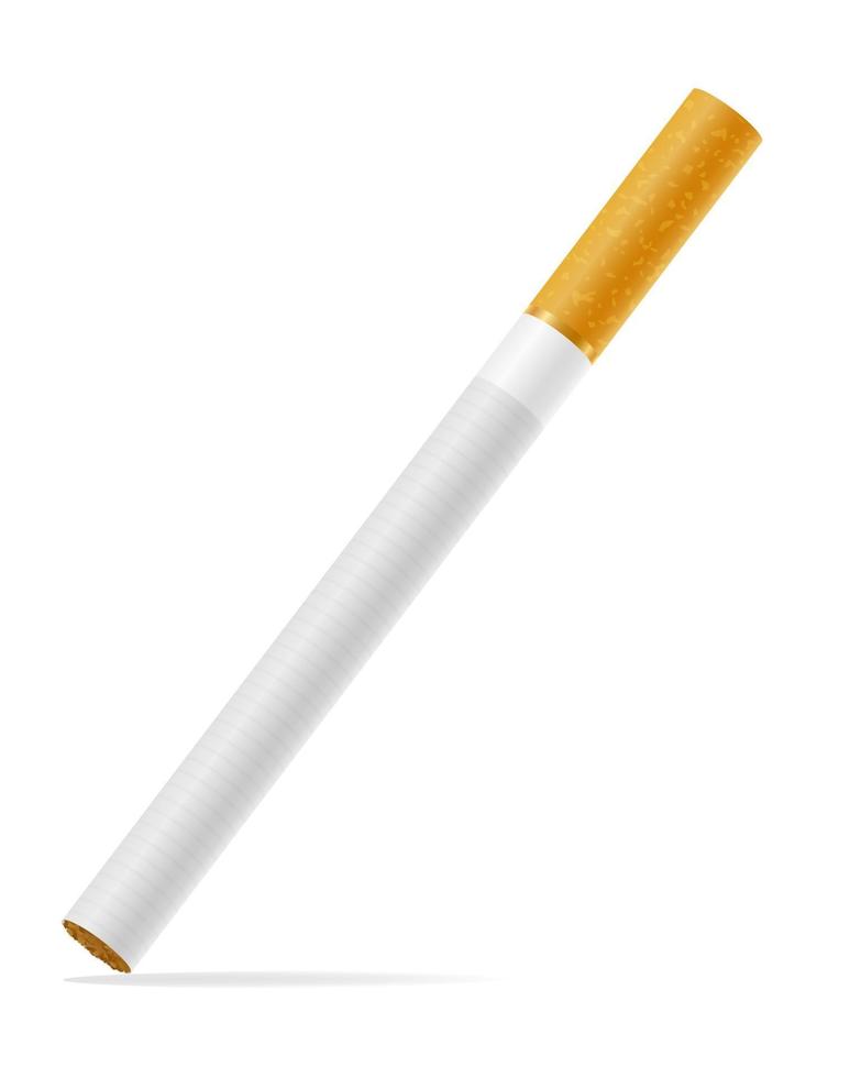 Cigarettes avec filtre blanc illustration vectorielle stock isolé sur fond vecteur