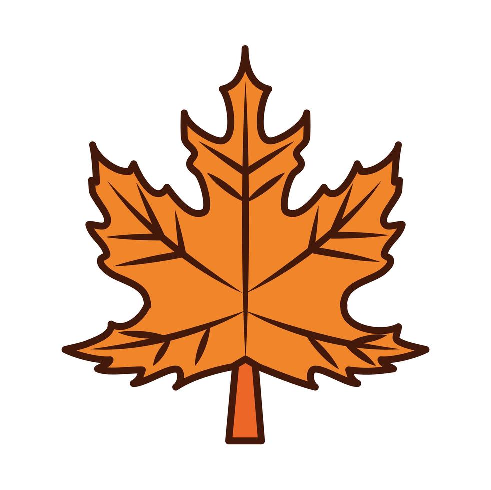 ligne d'automne feuillage feuille d'érable et icône de remplissage vecteur