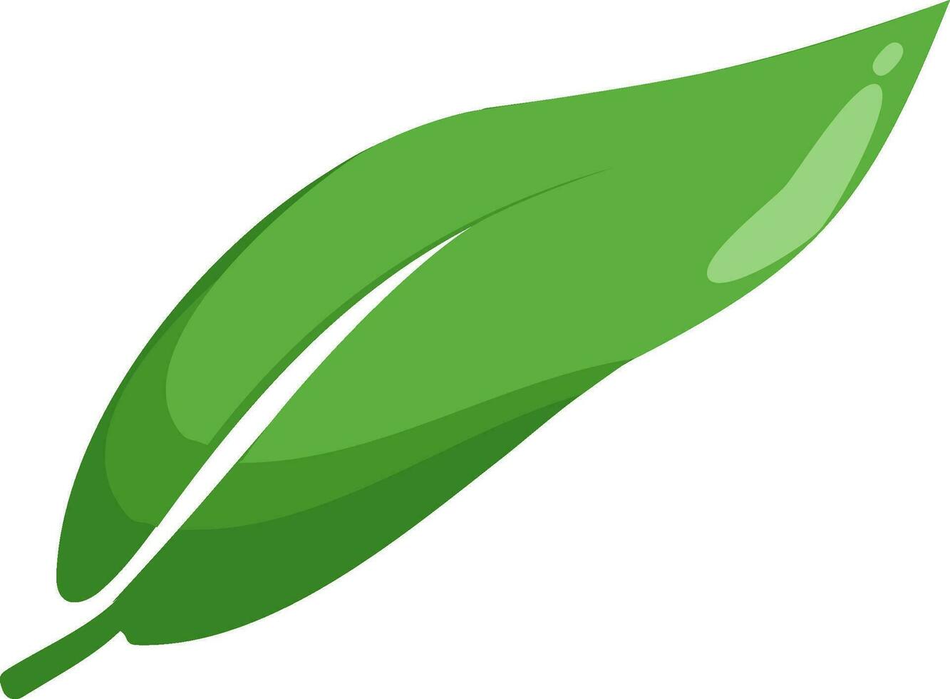 feuille vert vecteur illustration