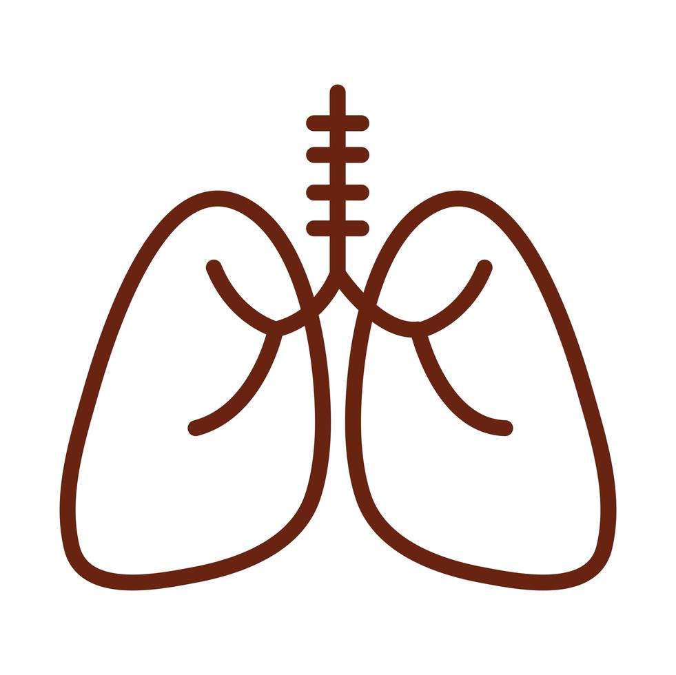 corps humain poumons anatomie respiratoire organe santé ligne icône style vecteur