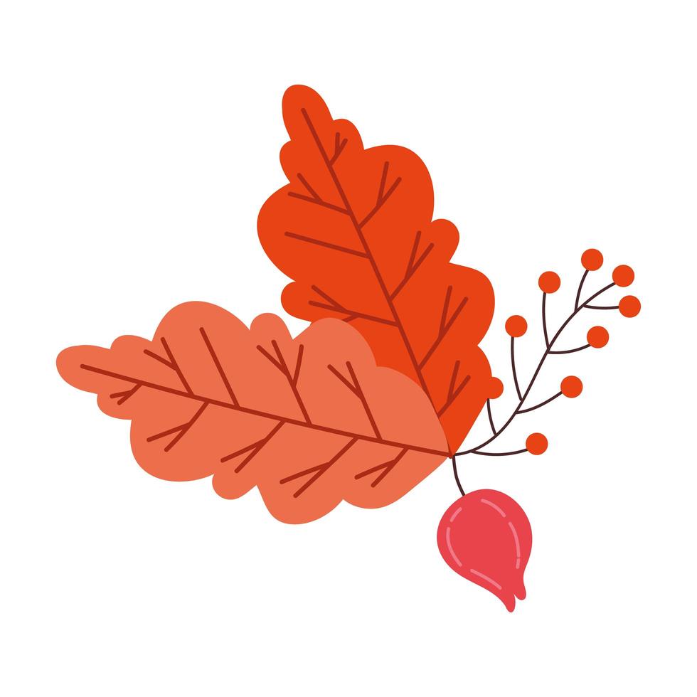 feuilles de saison d'automne vecteur