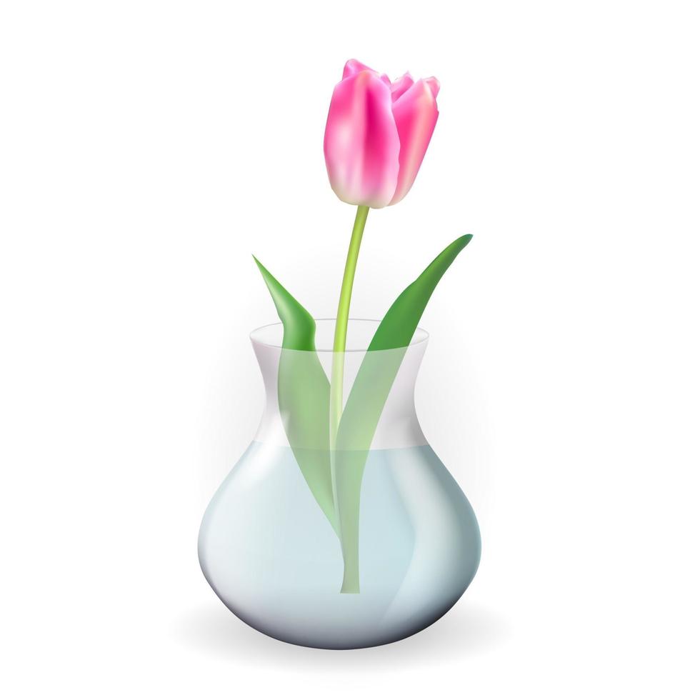 vase transparent en verre 3d réaliste avec fleur de tulipes. élément de conception pour affiche, carte de voeux. illustration vectorielle eps10 vecteur